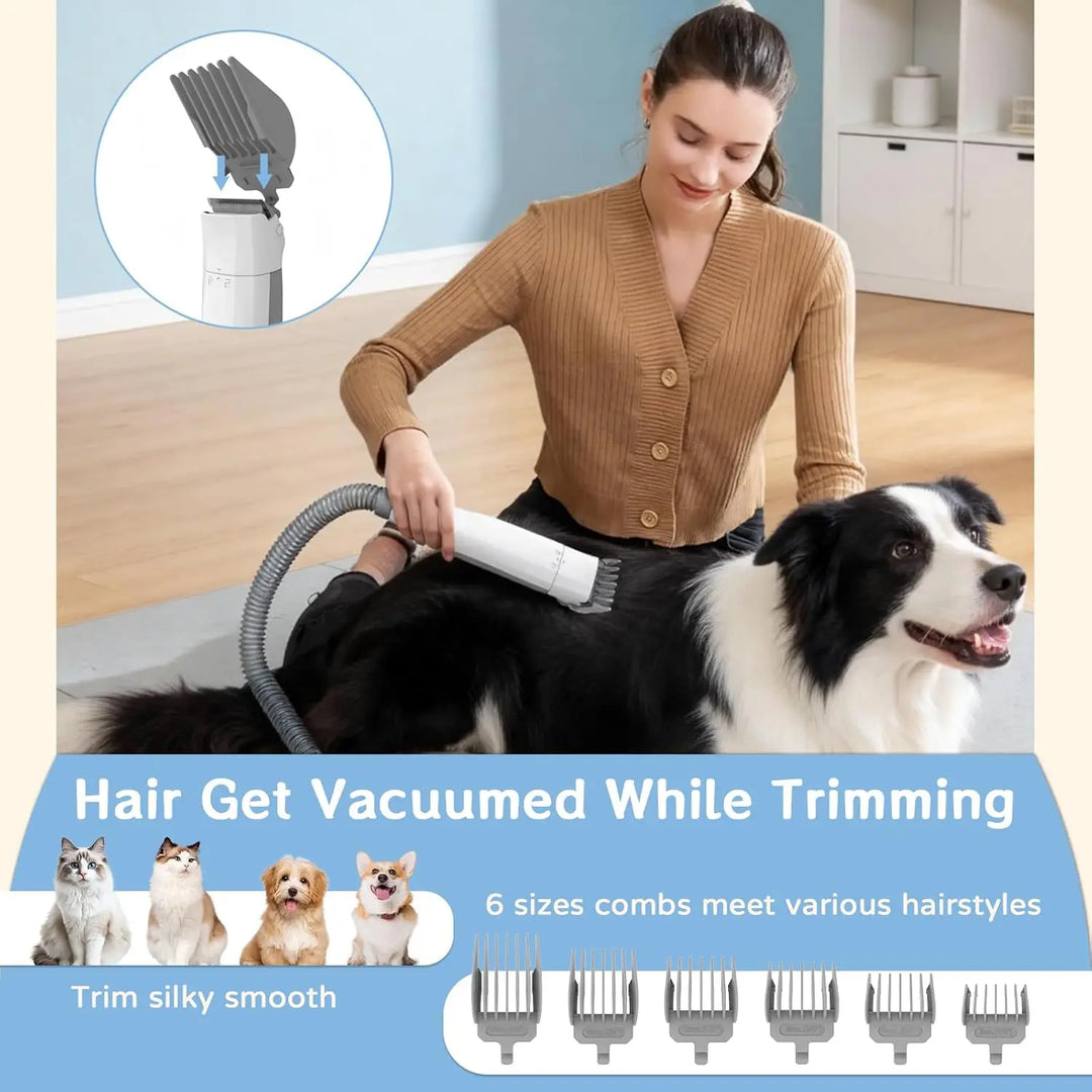 Woman trimming a border collie on the floor while the hose pulls the clippings into the canister