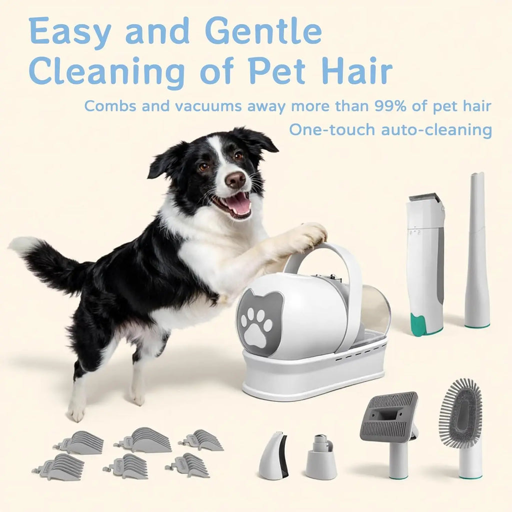 Border collie with its paws on the vacuum unit, the clipper, heads and guide combs laid out