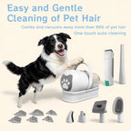 Border collie with its paws on the vacuum unit, the clipper, heads and guide combs laid out