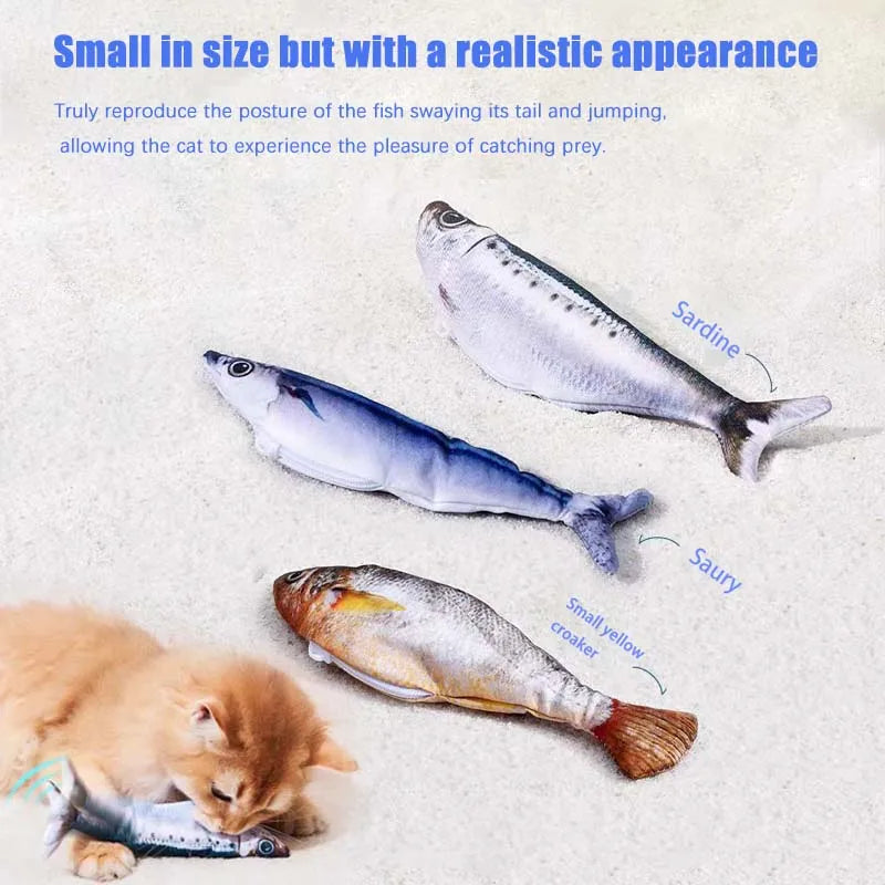 The three fish side by side: sardine, saury and small yellow croaker