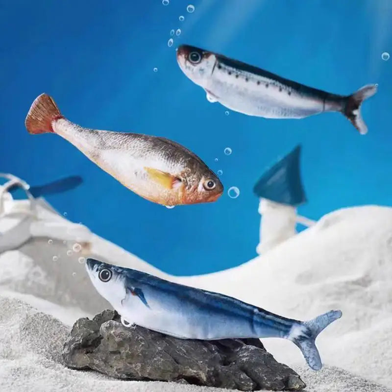 The three plush fish on a sandy underwater-style set