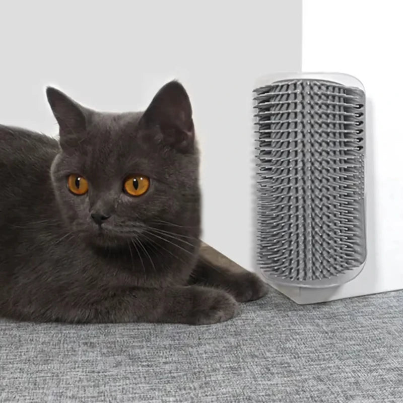Gray shorthair cat lying next to the gray groomer in a wall corner