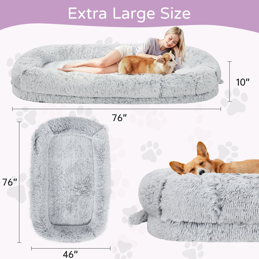 Woman and corgi in the gray shag bed, 76 x 46 in and 10 in deep