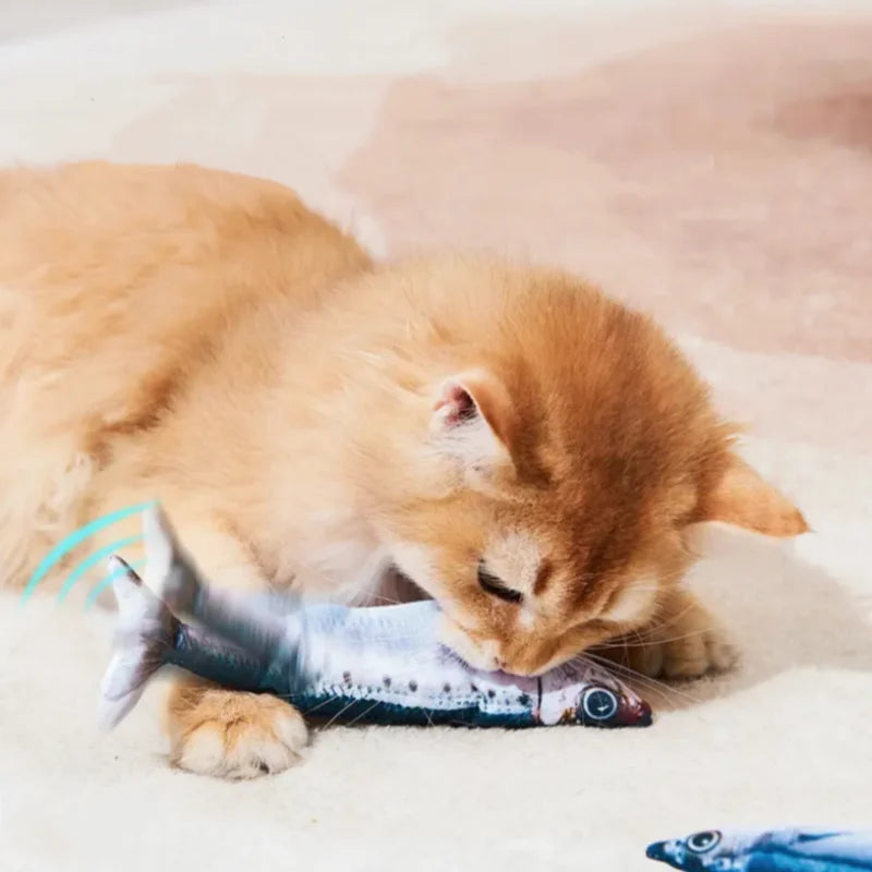 Orange kitten biting a sardine toy while its tail flops