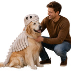 Golden retriever in the costume next to its owner