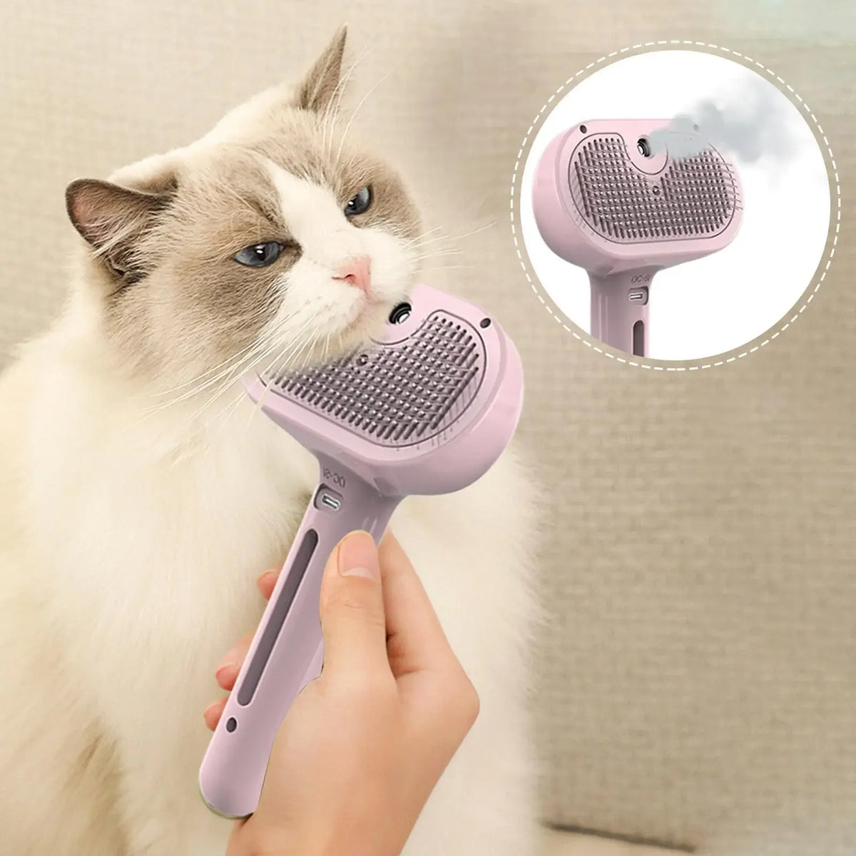 Pink mist brush on a ragdoll cat, with a close-up of the mist