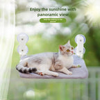 Tabby cat on the gray plush version of the hammock, garden behind