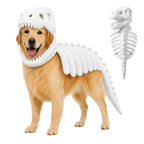 Golden retriever in the bone white T-rex skull hood and rib-cage cape