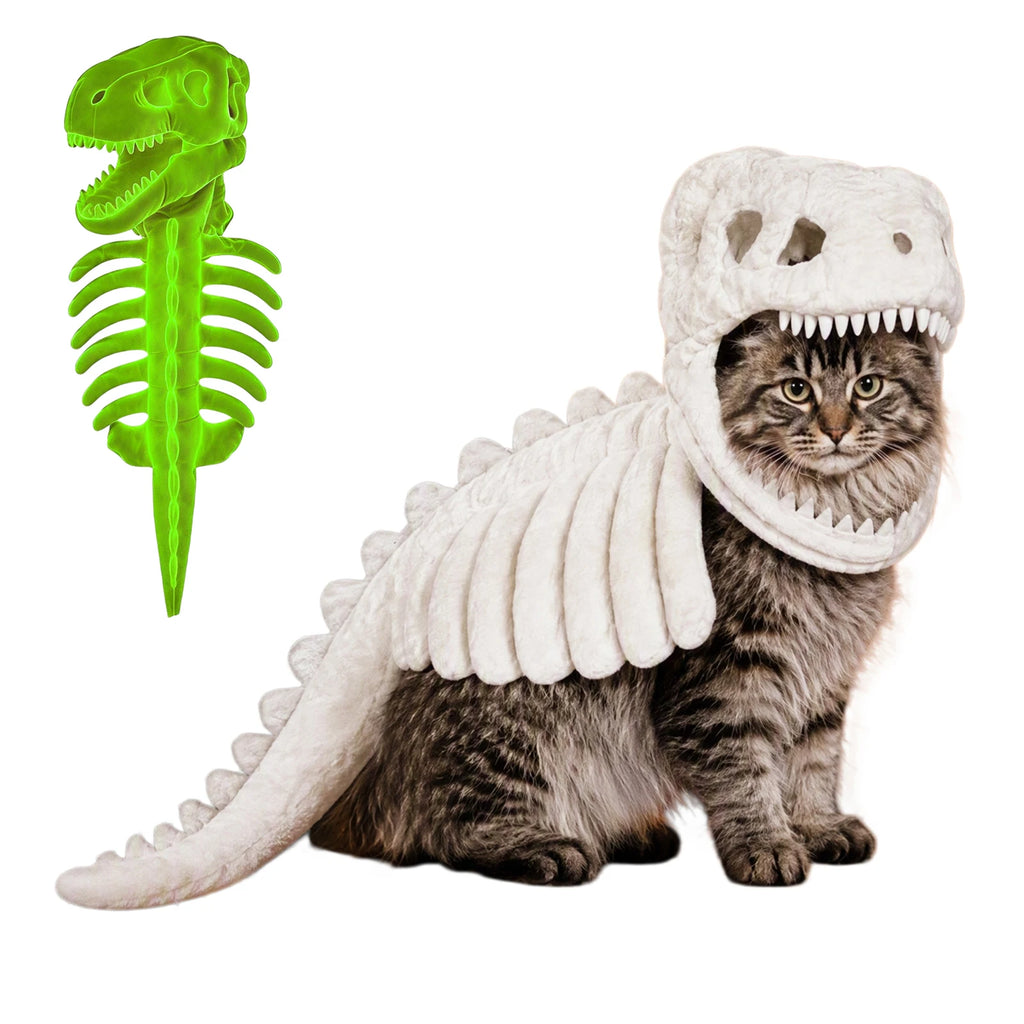 Tabby cat in the bone white costume, with the glow version beside it