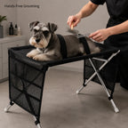 Schnauzer strapped on the stand while a groomer brushes it hands-free