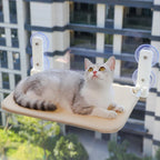 Silver tabby cat lying in the off-white mesh hammock on a high-rise window