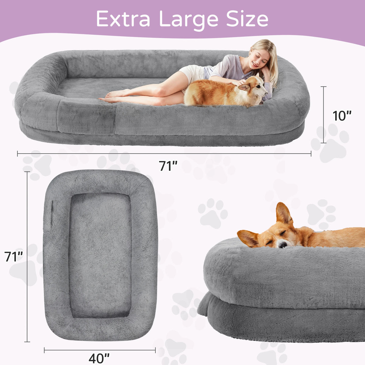 Gray plush version, 71 x 40 in and 10 in deep, with a woman and a corgi