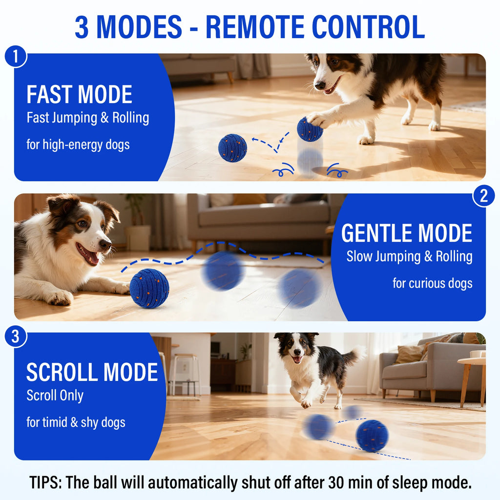 Border collie chasing the ball indoors in fast, gentle and roll-only modes
