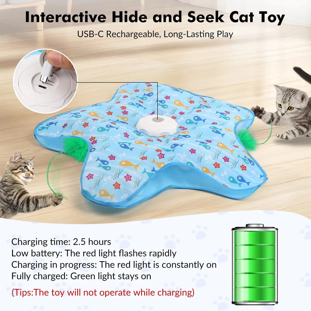 Silver tabby kittens grabbing the feathers, inset of the USB-C port and the 2.5 h charge