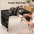 Miniature schnauzer on the mesh stand with a paw through the edge while its nails are trimmed