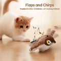 Orange and white cat on a wood floor staring at the brown plush sparrow mid-chirp