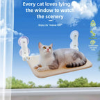 The same cat stretched out on the window hammock against the sky