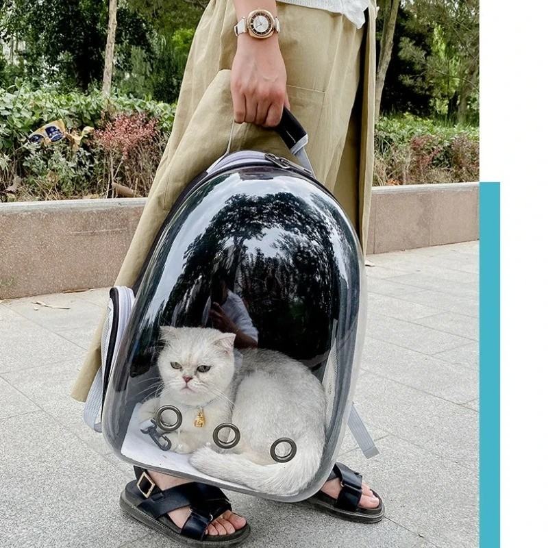 White cat looking out of a clear bubble backpack